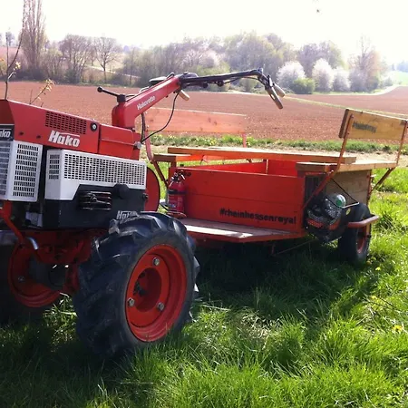 Haus Sauer Offenheim