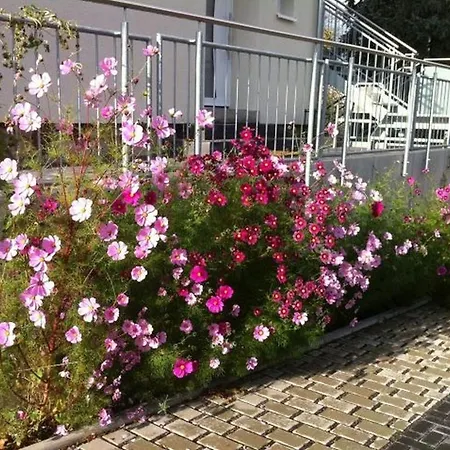 Апартаменты Haus Sauer