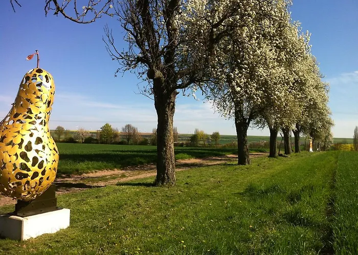 Haus Sauer Offenheim