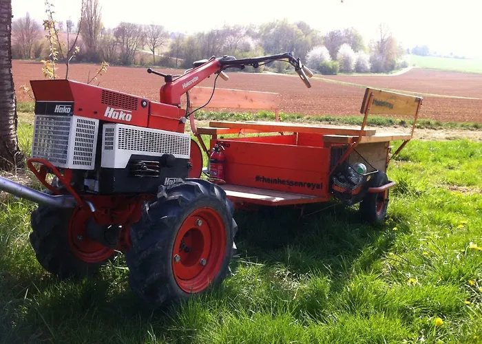 Haus Sauer Offenheim