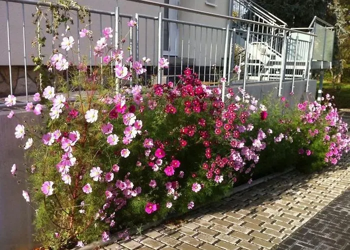 Lägenhet Haus Sauer